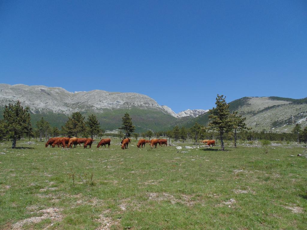 Holiday Home Paklenica Starigrad Paklenica Bagian luar foto