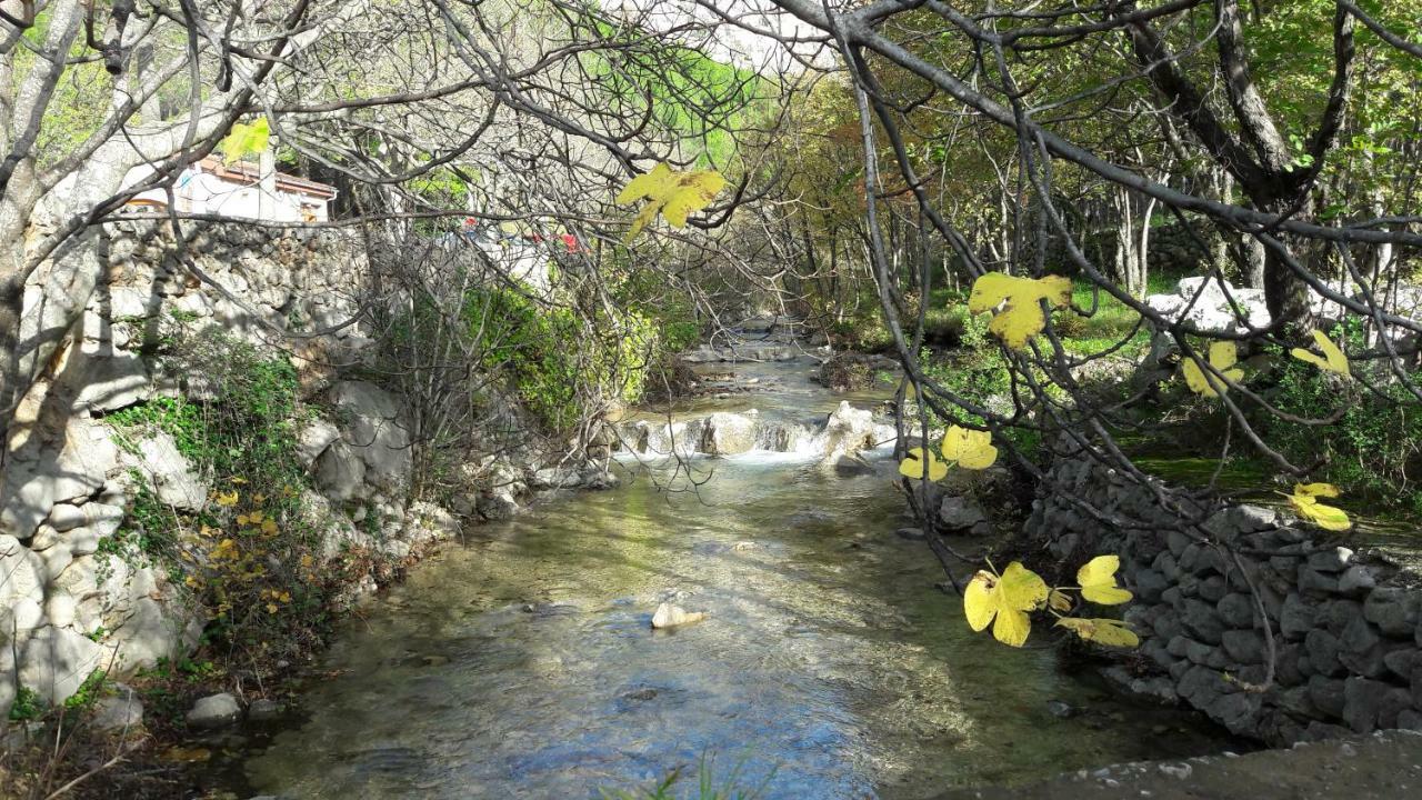 Holiday Home Paklenica Starigrad Paklenica Bagian luar foto