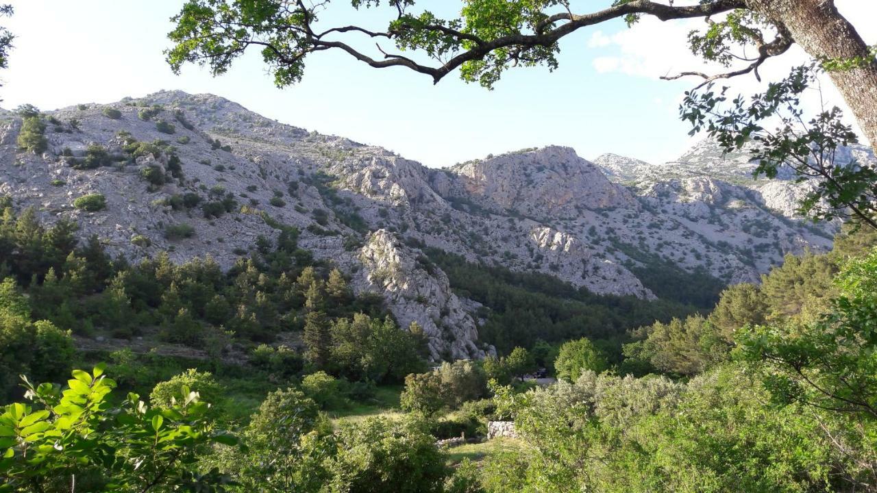 Holiday Home Paklenica Starigrad Paklenica Bagian luar foto